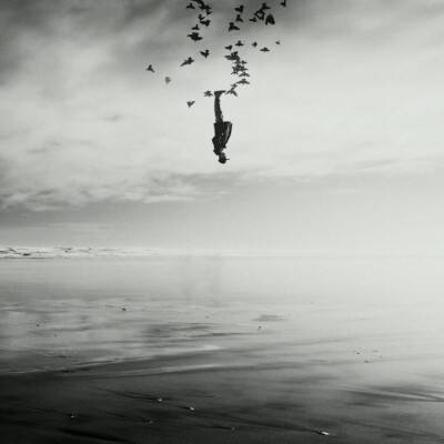 凤凰彩票平台下载app下载